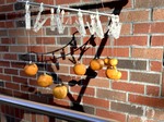 IMG_0211.jpg